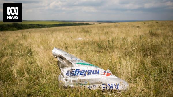 MH17航班于2014年被击落以下是马航飞机的情况 