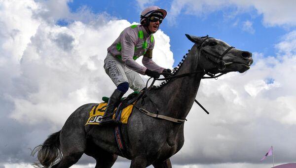 Lossiemouth, with Paul Townend aboard, celebrate winning the JCB Triumph Hurdle at Cheltenham. Picture: Seb Daly/Sportsfile